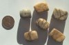 6 15x20mm Picture Jasper